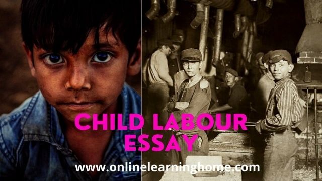Best Child Labour Essay 500 Words
