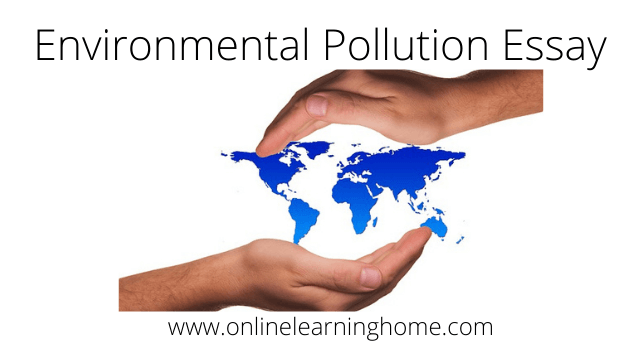 Environmental Pollution Essay