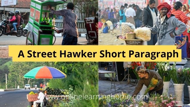 A Street Hawker Short Paragraph 150 words for Class 10 / 9 / 8 / 7